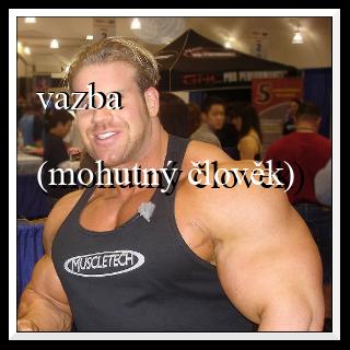 vazba