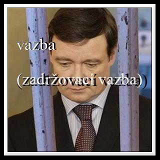 vazba