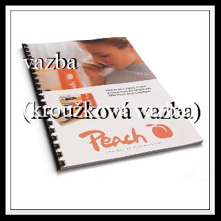 vazba