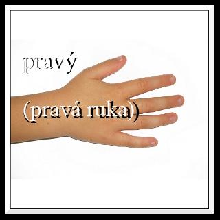 pravý