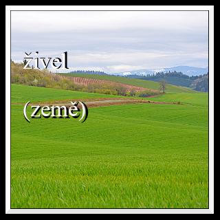 živel