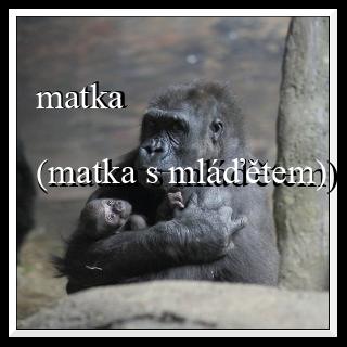 matka