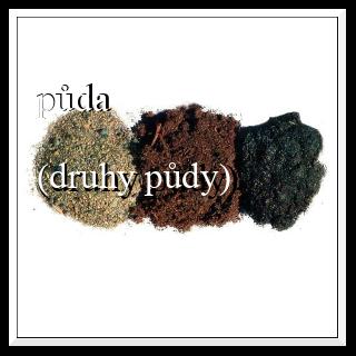 půda