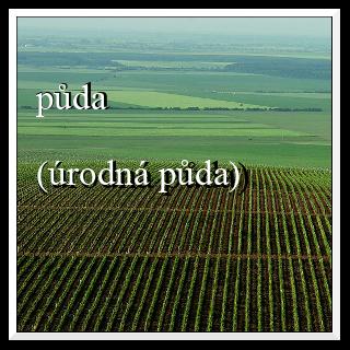 půda