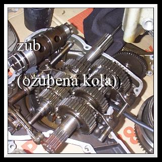 zub