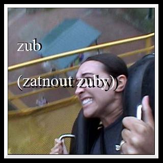 zub