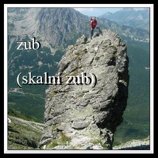zub