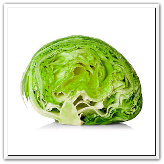 ledový