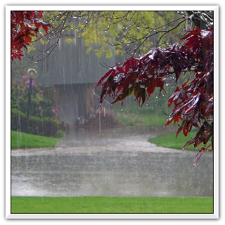 mokrý