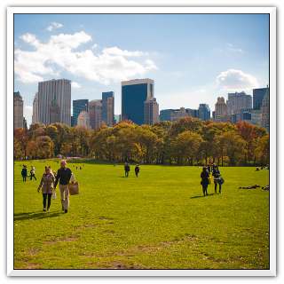 park