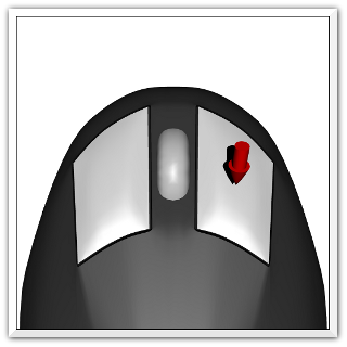 pravý