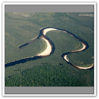 slepá
